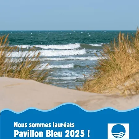 Lejlighed Agence Jf Immo-t2 Rdc Terrasse Parking Et Piscine A 50 M Plage-v0743 Vias