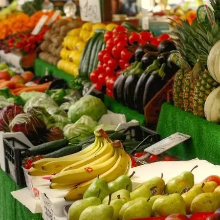 T2 Rdc Terrasse Parking Et Piscine A 50 M- V0743