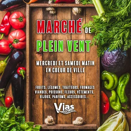 아파트 T2 Rdc Terrasse Parking Et Piscine A 50 M- V0743